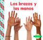 Los Brazos y Las Manos (Arms & Hands)