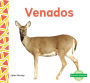 Venados (Deer )