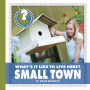 Small Town