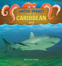 Life in the Caribbean Sea