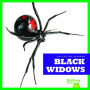 Black Widows