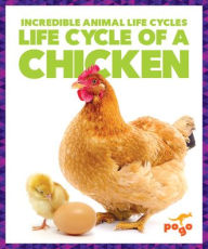 Title: Life Cycle of a Chicken, Author: Karen Kenney