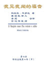 The Gospel As Revealed to Me (Vol 7) - Simplified Chinese Edition: 我见我闻的福音（第七册：耶稣宣教第二年(甲)）简体&#