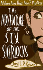 The Adventure of the Six Sherlocks: A Where Are They Now? Short Story