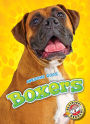 Boxers