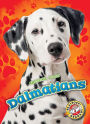 Dalmatians