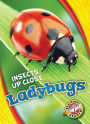 Ladybugs
