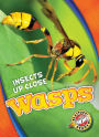 Wasps