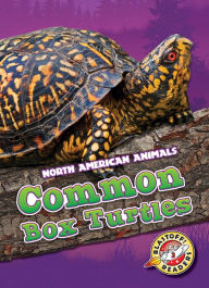 Title: Common Box Turtles, Author: Al Albertson