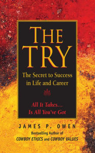 Title: The Try: The Secret to Success in Life and Career, Author: James P. Owen