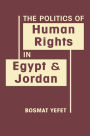 The Politics of Human Rights in Egypt and Jordan