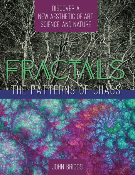Fractals: The Patterns of Chaos: Discovering a New Aesthetic of Art, Science, and Nature (A Touchstone Book)