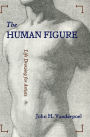 The Human Figure