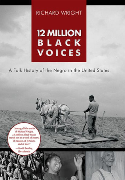 12 Million Black Voices