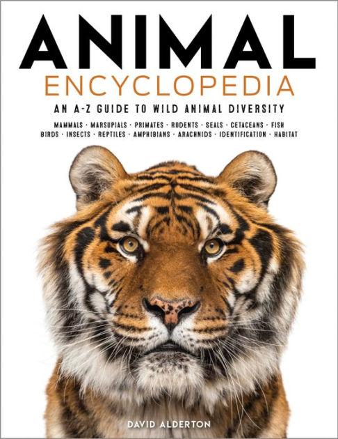 Animals|Hardcover