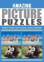 Amazing Picture Puzzles