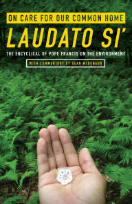 Title: On Care for Our Common Home, Laudato Si': The Encyclical of Pope Francis on the Environment with Commentary by Sean McDonagh, Author: Pope Francis