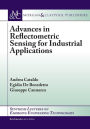 Advances in Reflectometric Sensing for Industrial Applications