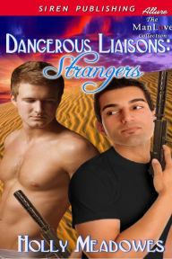 Dangerous Liaisons: Strangers (Siren Publishing Allure ManLove)