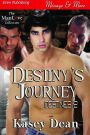 Destiny's Journey [Destinies 2] (Siren Publishing Menage and More ManLove)