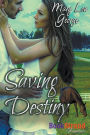 Saving Destiny (Bookstrand Publishing Romance)