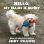 Hello, My Name Is Benny