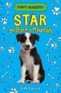 Star on Stormy Mountain