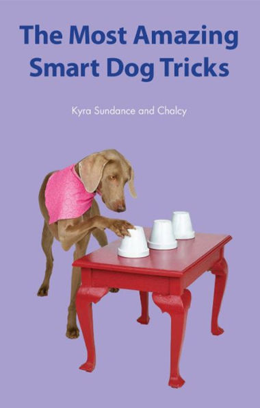 The Most Amazing Silly Dog Tricks