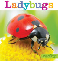 Title: Ladybugs, Author: Aaron Frisch