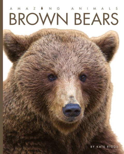 Brown Bears (Amazing Animals Series)