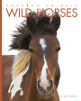 Wild Horses (Amazing Animals Series)
