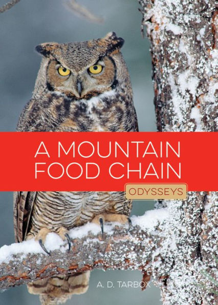 A Mountain Food Chain