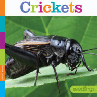 Title: Crickets, Author: Laura K. Murray