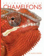 Chameleons (Amazing Animals Series)