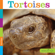 Title: Tortoises, Author: Kate Riggs
