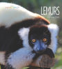 Lemurs