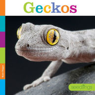 Title: Geckos, Author: Kate Riggs