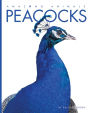 Peacocks (Amazing Animals Series)