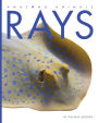 Rays (Amazing Animals Series)