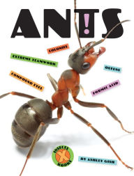 Title: Ants, Author: Ashley Gish