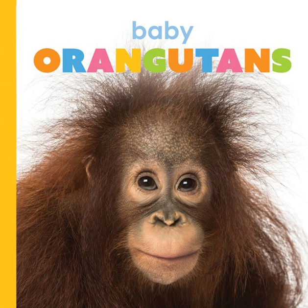 Baby Orangutans by Kate Riggs, Paperback | Barnes & Noble®