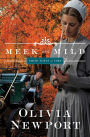Meek and Mild (Amish Turns of Time Series #2)