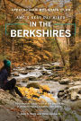AMC's Best Day Hikes in the Berkshires: Four-Season Guide to 50 of the Best Trails in Western Massachusetts