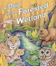 Title: A Day in a Forested Wetland, Author: Kevin Kurtz