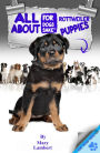 All About Rottweiler Puppies