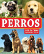 Perros