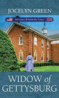 Widow of Gettysburg: Heroines Behind the Lines