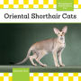 Oriental Shorthair Cats