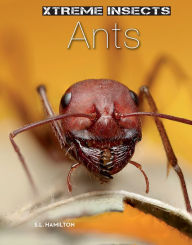 Title: Ants, Author: S.L. Hamilton