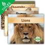 Big Cats